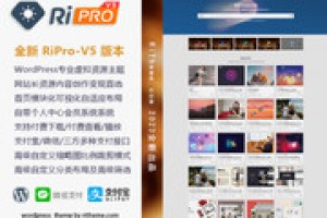 最新版wordpress主题源码 ripro-v5-8.3开心版主题源码