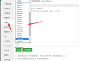 如何设置网站的伪静态